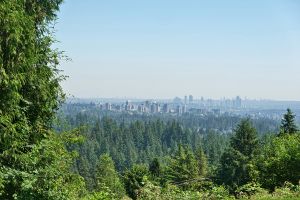 Capilano City View